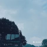 云径•天竹