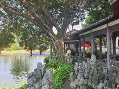 -荔湾湖公园