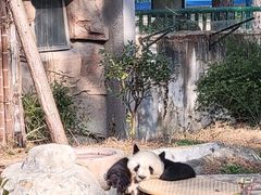 -安吉竹博园