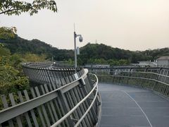 -福道
