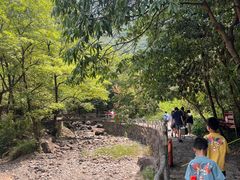 -白云源风景区