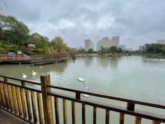 -青藏高原野生动物园
