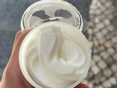 -洪馨椰子