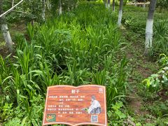 -草根堂农场