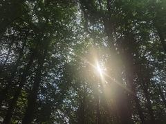 -白塘生态植物园