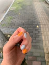 -BELLAREAL新美社