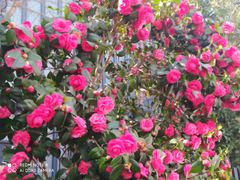 -上海总工会黄浦区工人体育馆-停车场