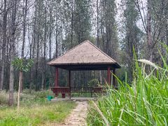 -白鹭湾湿地公园