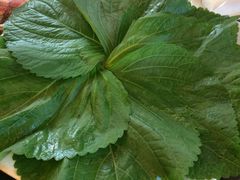 -千纸鹤嫩汁烤肉(学府店)