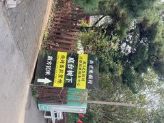 -尚庄度假村·庭台树下·户外烧烤·团建CS·轰趴营地(上庄水库店)