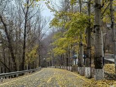 -百里山水画廊