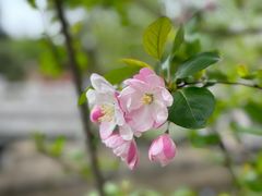 -元大都城垣遗址公园