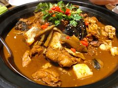 甲鱼土鸡锅-洪湘记川湘·甲鱼馆(四海凯悦美食广场店)