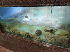 -渔人湾码头海鲜市场负二楼
