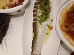 清蒸大白雕-樱苑(四川北路店)