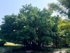 -雀儿山公园
