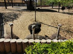 -石家庄市动物园