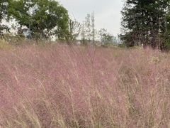 -上海植物园-4号门售票处