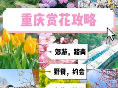 -佛图关公园