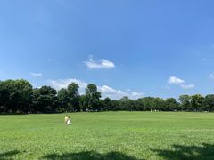 -石家庄市植物园