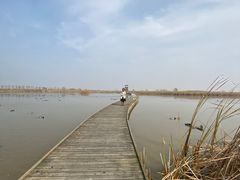 -盐城丹顶鹤湿地生态旅游区