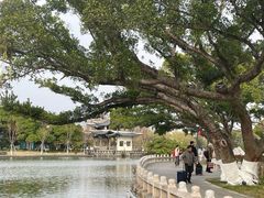 -江心屿景区