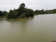 -白鹭湾湿地公园