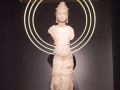 -四川大学博物馆