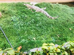 -青岛森林野生动物世界