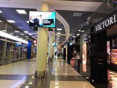 -谢列梅捷沃国际机场