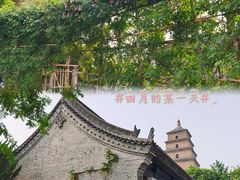 -大慈恩寺(大雁塔)