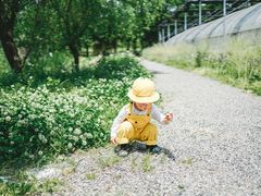 -前小桔亲子创意农场·草莓采摘·露营烧烤