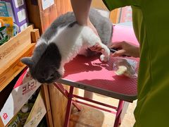 -转角宠物(转塘方家苑店)