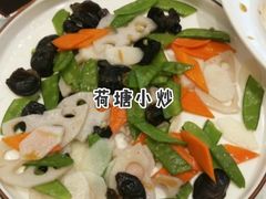 -金蝉食府(维吉奥广场店)