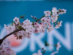 -永乐路-路侧停车场