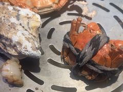 -乔哥铭洋海鲜自助(皇城恒隆广场店)