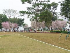 -洲头咀公园