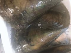 带子-珍珠海味购物中心