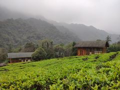 -姑婆山旅游区