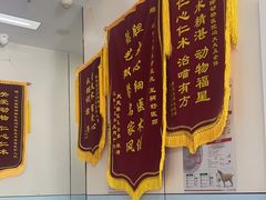 -中农国际动物医院24小时·猫科·骨科·急重症中心