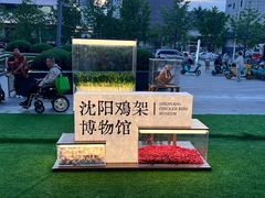 -沈阳铁西万象汇