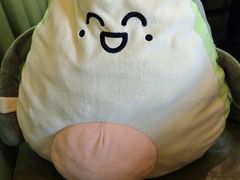 -油梨树AVOCADO TREE(顺义新国展店)