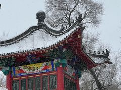 -北山公园