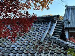 -天龙寺