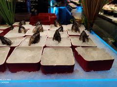 -V-ONE西雅图海鲜自助餐厅(仓山万达广场店)