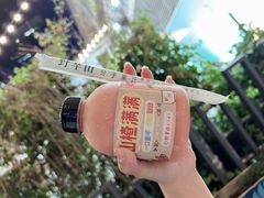 -野萃山·潮汕厚果汁(十亩地店)