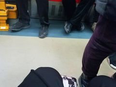 -翠清酒家(万丰路店)
