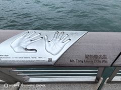 -星光大道