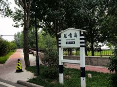 -观澜小洱海