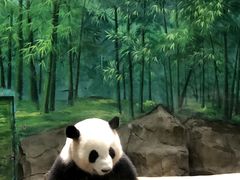 -灵玲国际马戏城